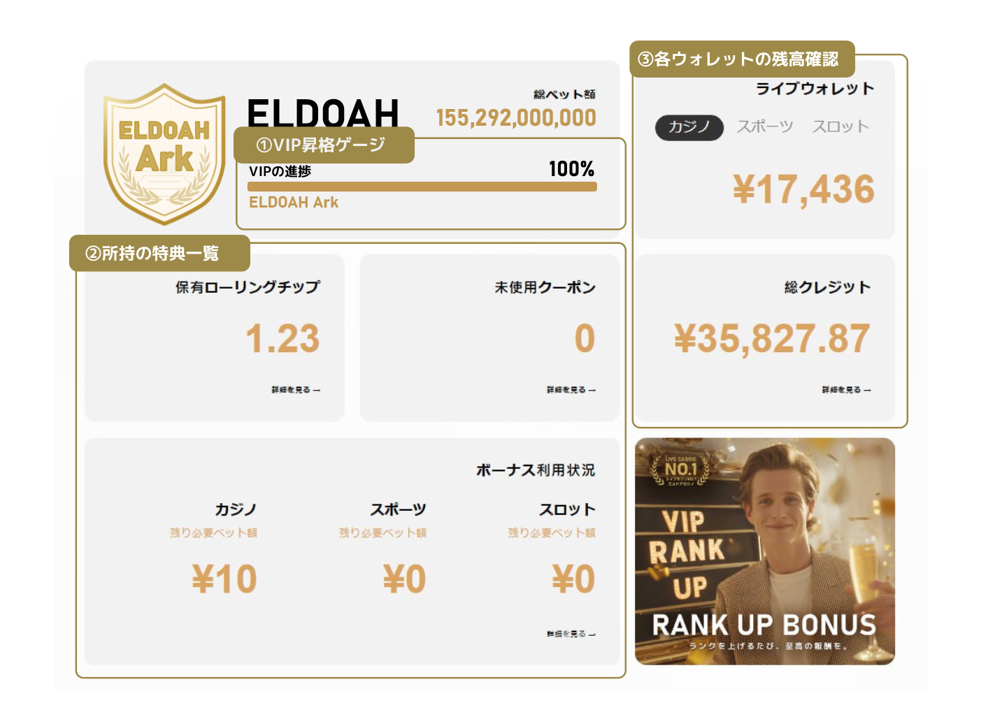 マイページ：VIP進捗バー見本