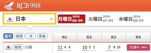 日本国旗選択の説明画像